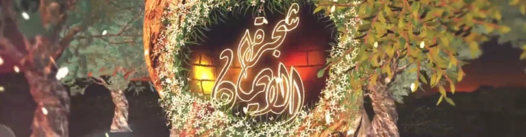 مقدمة برنامج شجرة الإيمان — لقطة ١